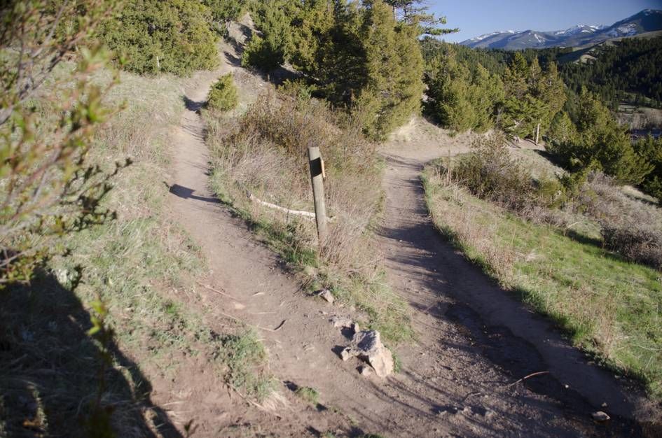 Trail fork with marker post and mountains in background