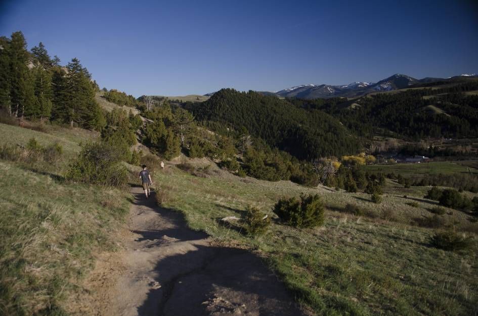 Hikers with dog walking on trail toward Bridger Canyon mountains