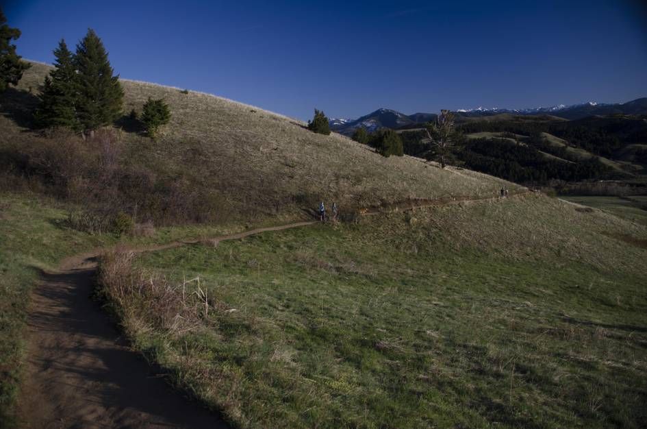Hikers on winding trail across grassy hillside