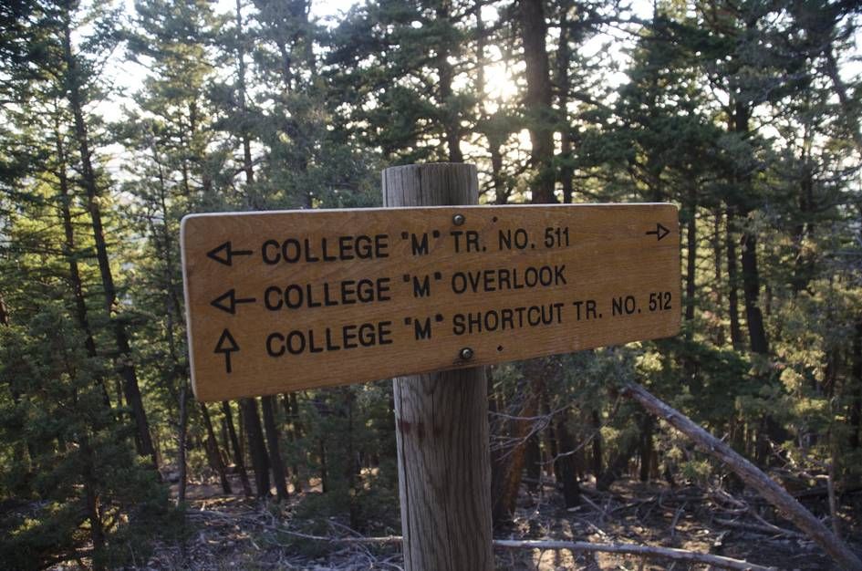 Trail sign showing College M Trail, Overlook, and Shortcut directions
