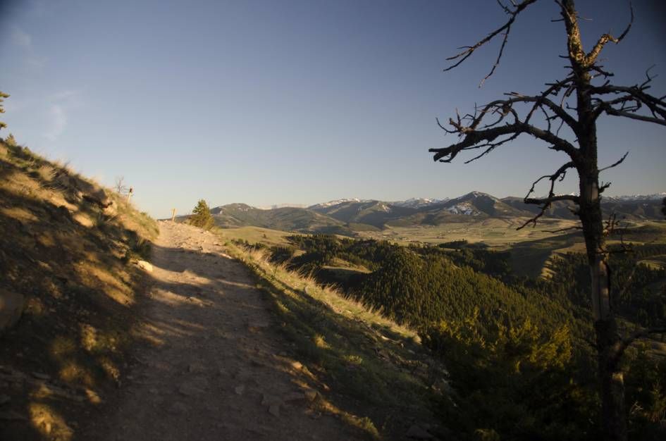 Trail along ridge with dead tree snag and mountain views