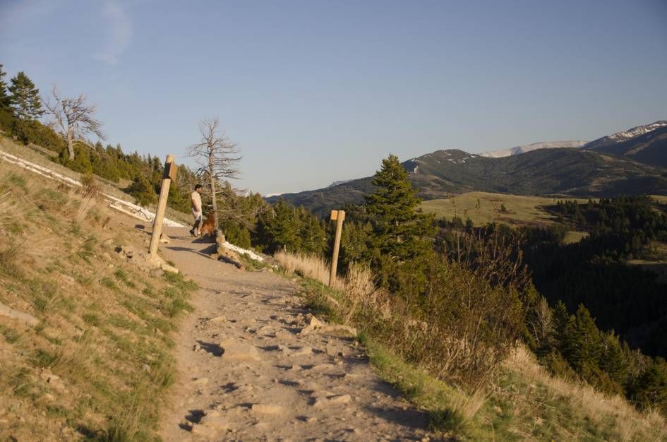 Hiker with dog on rocky trail with Bridger Range views
