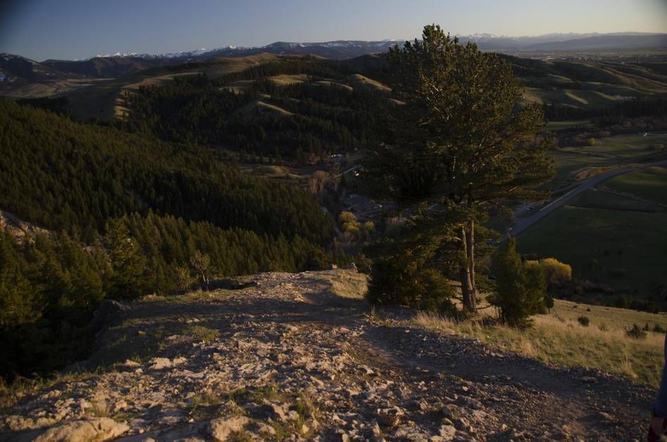 Rocky viewpoint overlooking Bridger Canyon with pine tree