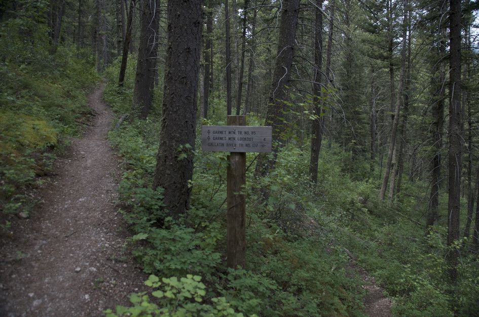 Wooden trail sign in dense forest showing directions to Garnet Mountain Lookout