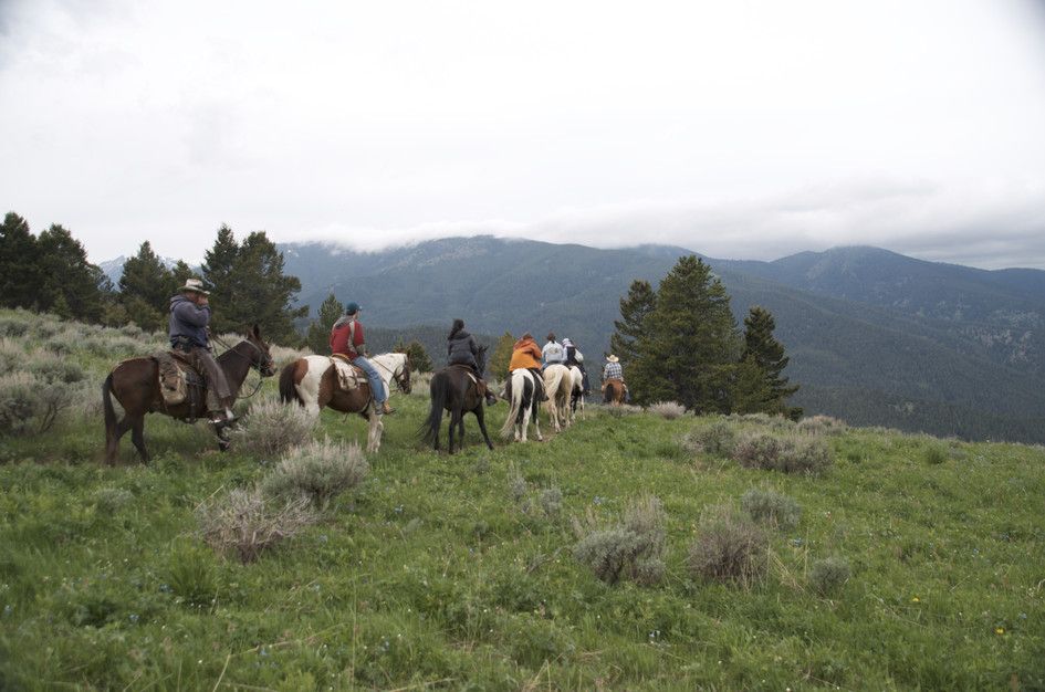 Group of horseback riders crossing alpine meadow with cloudy mountain views
