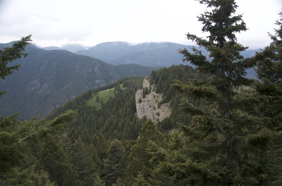 Rocky outcrop emerging from forested ridgeline with distant mountain views