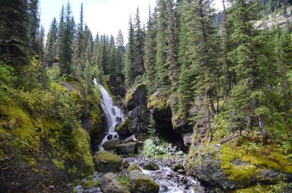 Waterfall cascading over rocks between moss-covered boulders and spruce forest