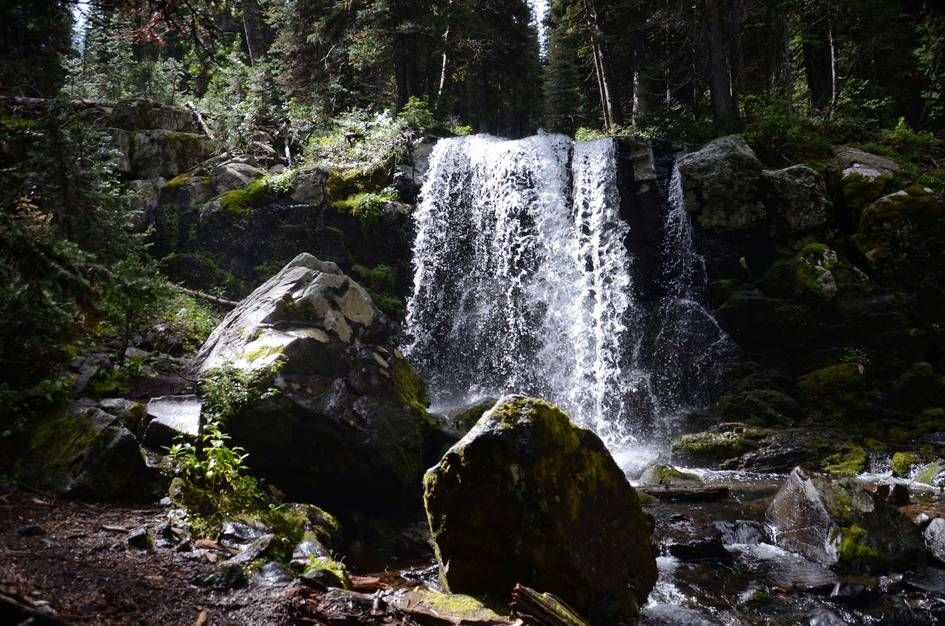 Wide waterfall pouring over rock ledge with moss-covered boulders in forest