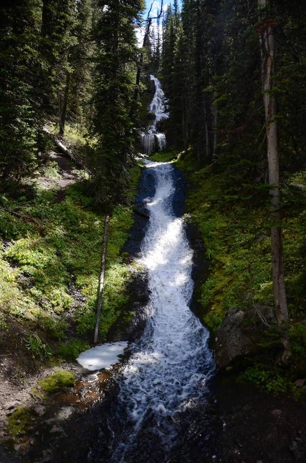 Long cascading waterfall down narrow rocky channel through evergreen forest