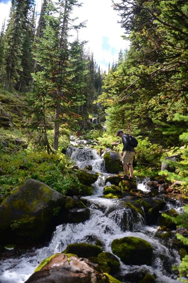 Hiker with backpack crossing mossy rocks along rushing mountain stream