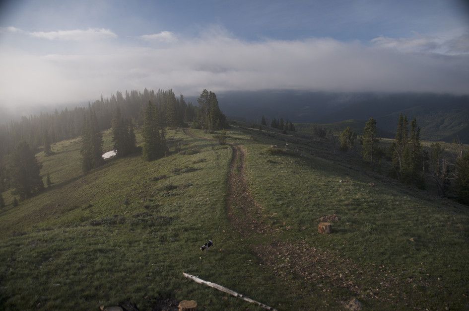 Dirt trail through alpine meadow with dog and swirling clouds over mountains