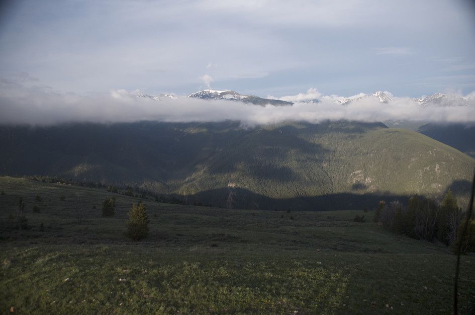 Snow-capped Spanish Peaks rising above cloud layer and forested ridges