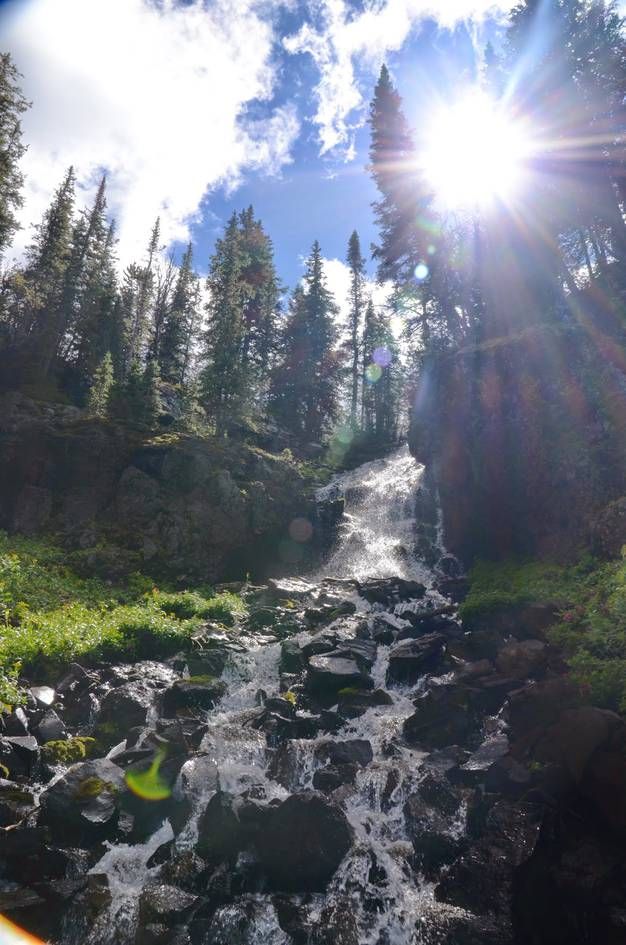 Waterfall backlit by sun with rocks and spray in spruce forest