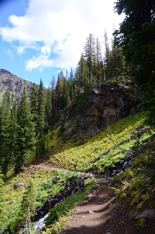 Trail ascending through green alpine meadow past rocky cliff and spruce forest