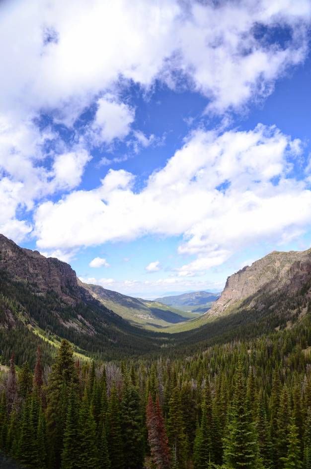 U-shaped glacial valley with rocky walls and mixed evergreen forest