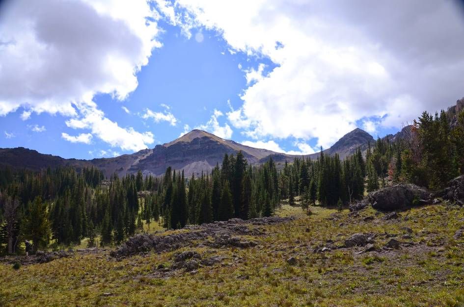 Rocky mountain peaks above alpine meadow with scattered spruce forest and boulders