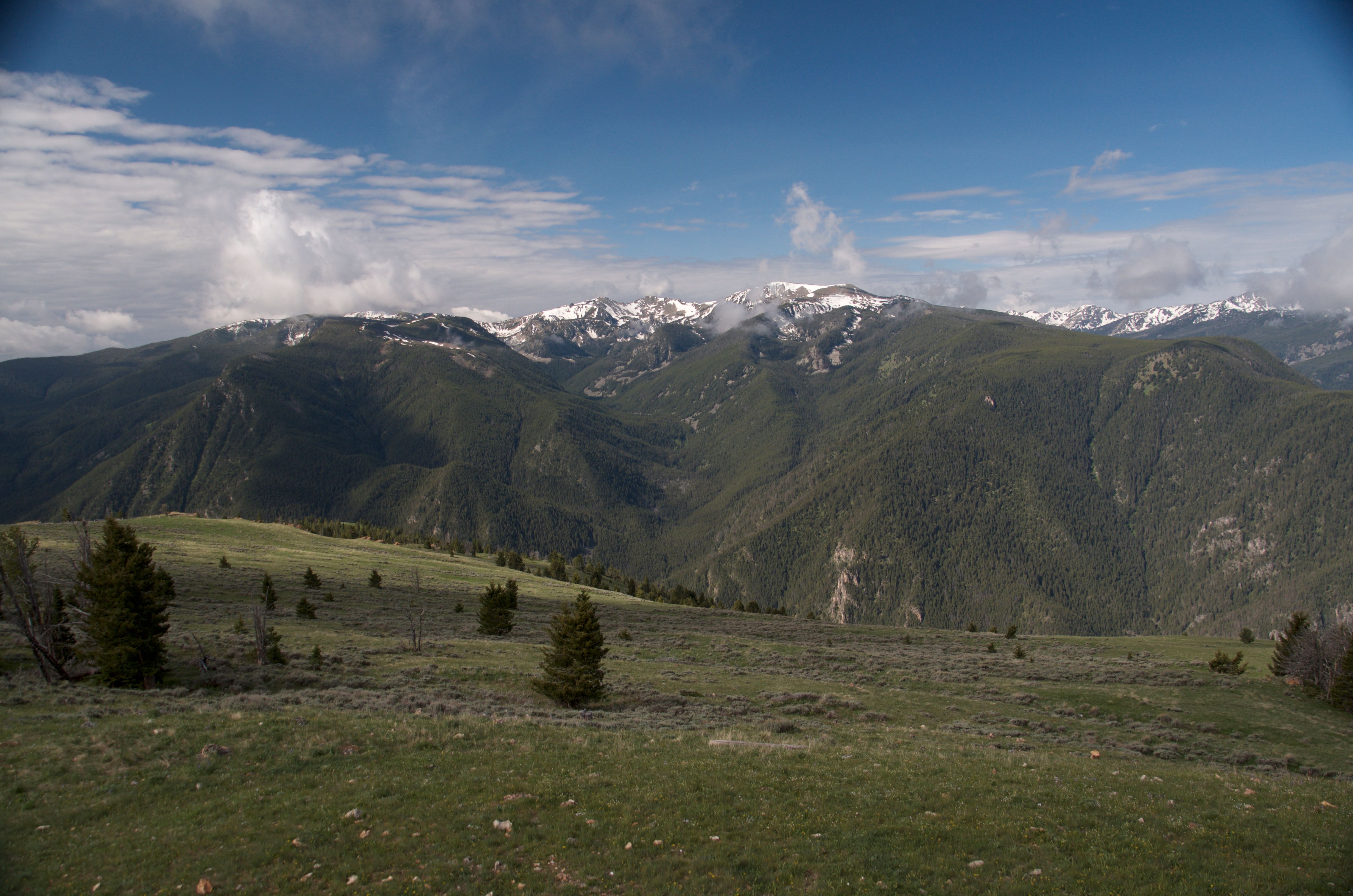Sweeping alpine meadow view of snow-capped Spanish Peaks and Madison Range