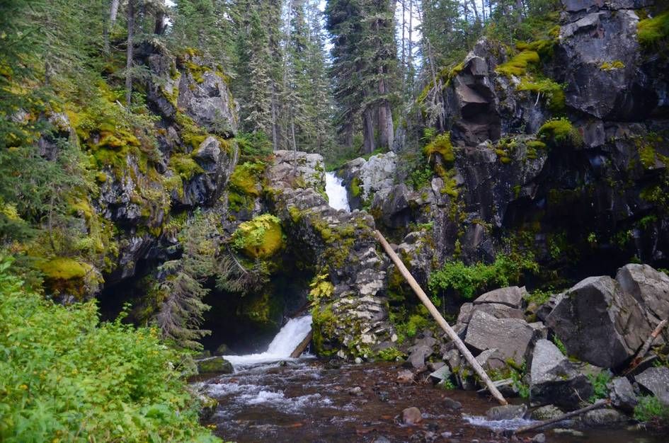 Double waterfall flowing through moss-covered rocky canyon with pool