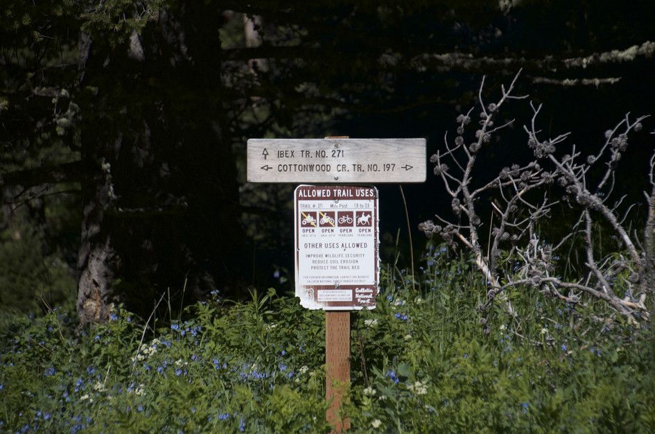 Trail junction sign for Ibex Trail and Cottonwood Creek with allowed uses information