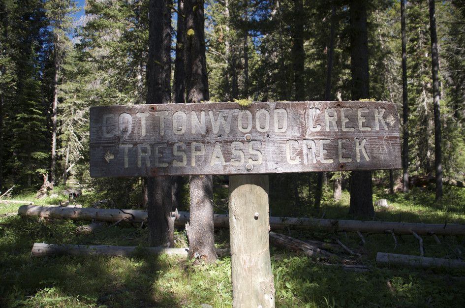 Weathered wooden trail sign for Cottonwood Creek and Trespass Creek in pine forest