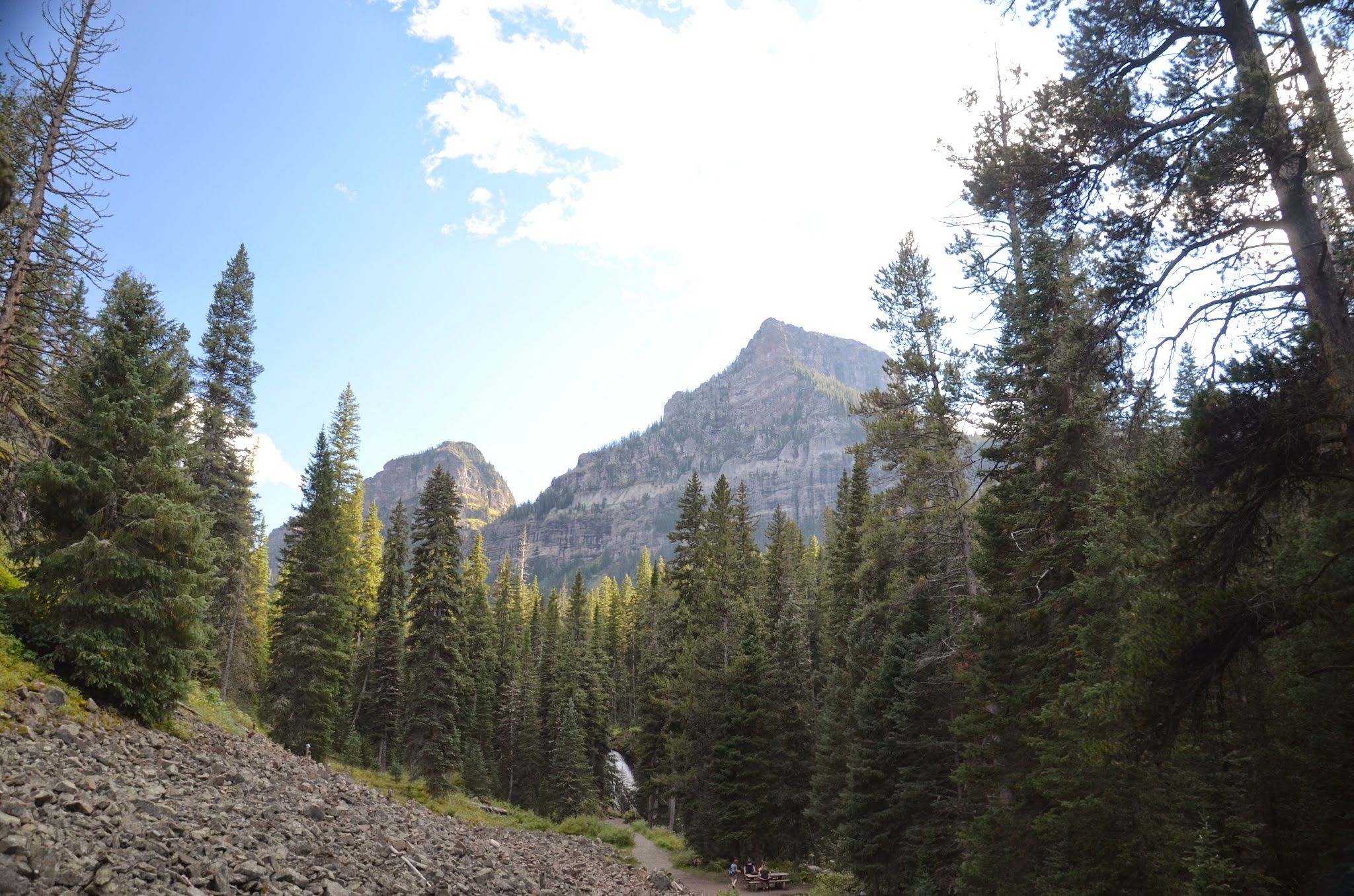 Wide rocky trail through spruce forest with canyon peaks and distant waterfall visible
