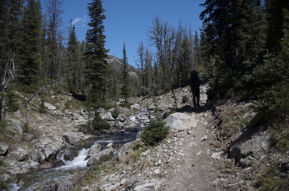 Hiker on rocky trail alongside rushing mountain creek through spruce forest