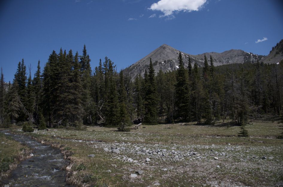 Rocky creek flowing through alpine meadow with pyramidal peak and forest