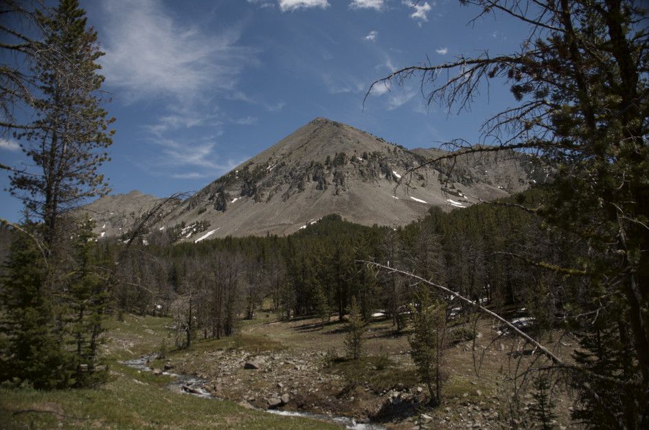 Bare pyramidal peak framed by dead tree branches above sparse forest