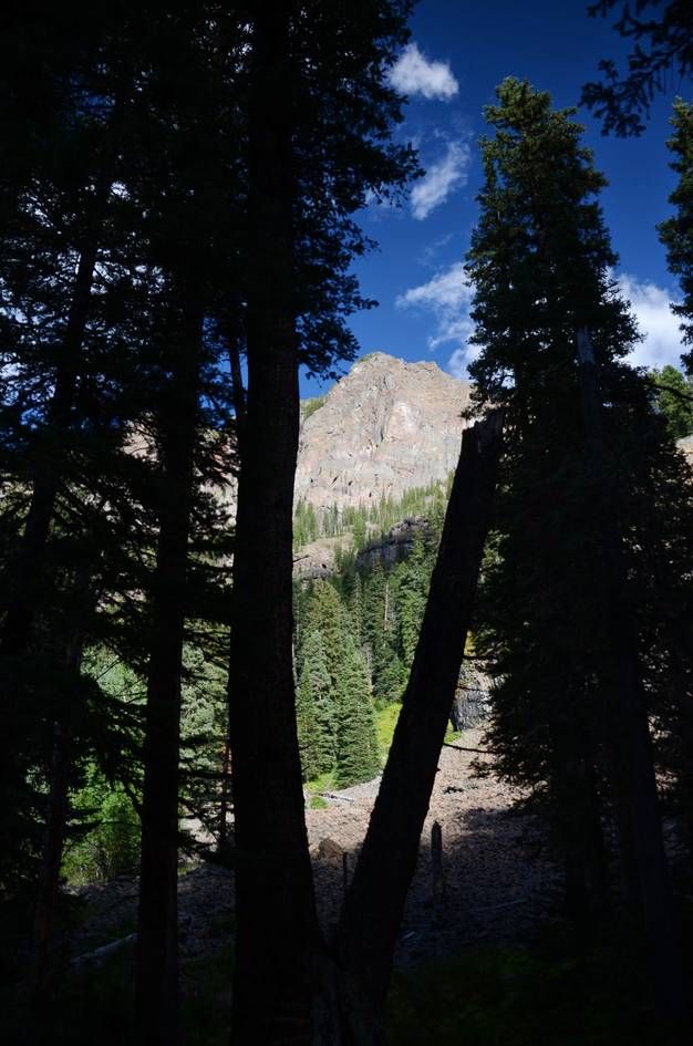 Silhouetted pine trees framing view of rocky mountain peak