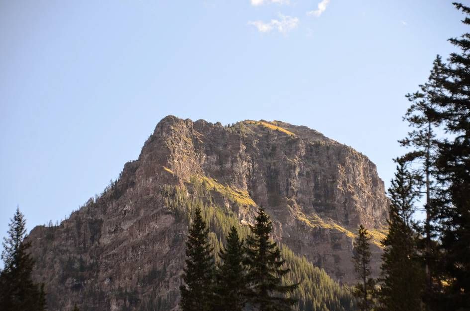 Massive rocky cliff face lit by golden evening sun above treeline