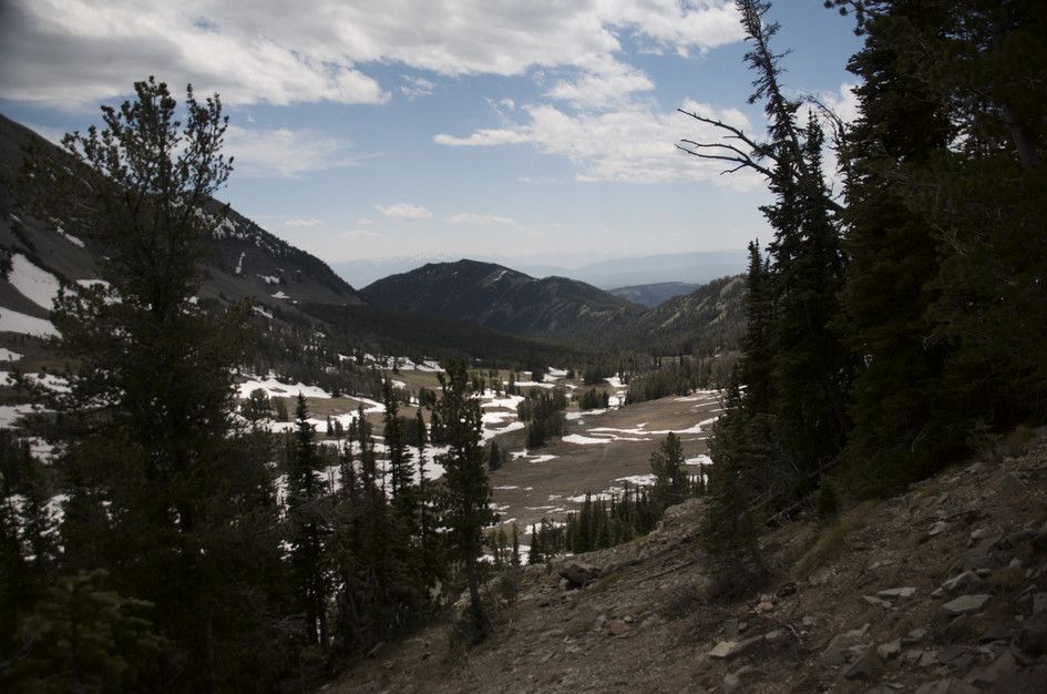 View from ridge through scattered pines of snowy basin and distant mountains