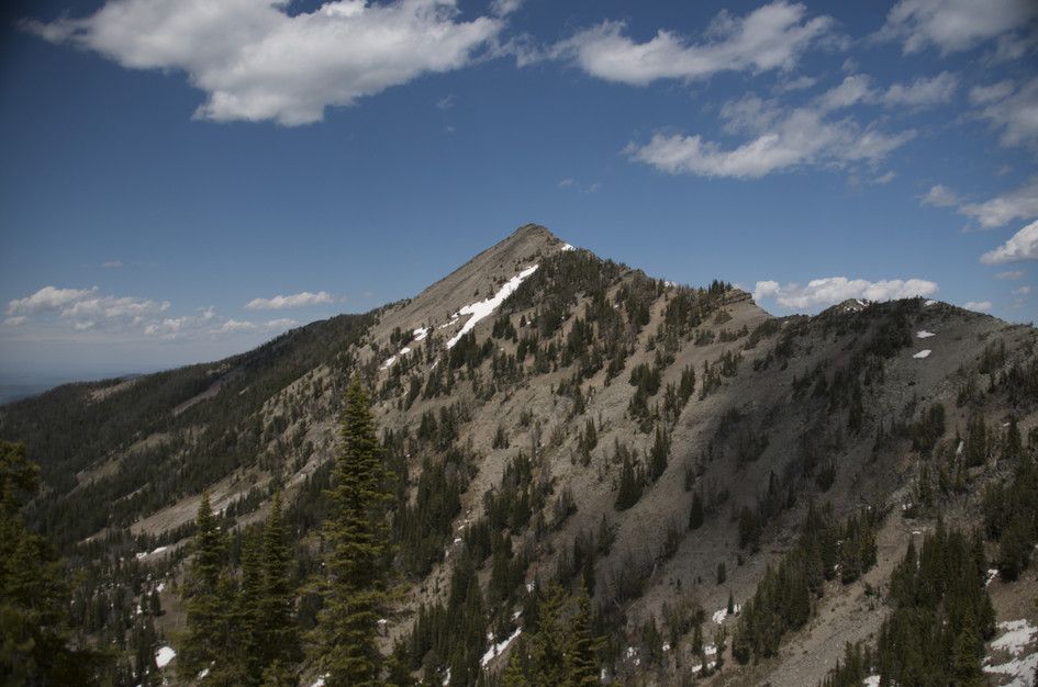 Pyramidal peak with scattered pines and snow patches against blue sky