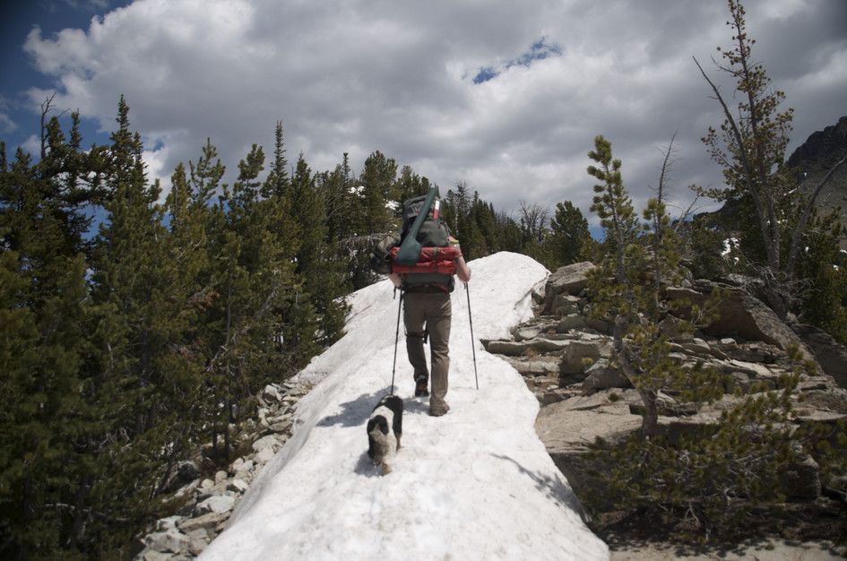 Backpacker and dog crossing snow patch on ridge with scattered pines