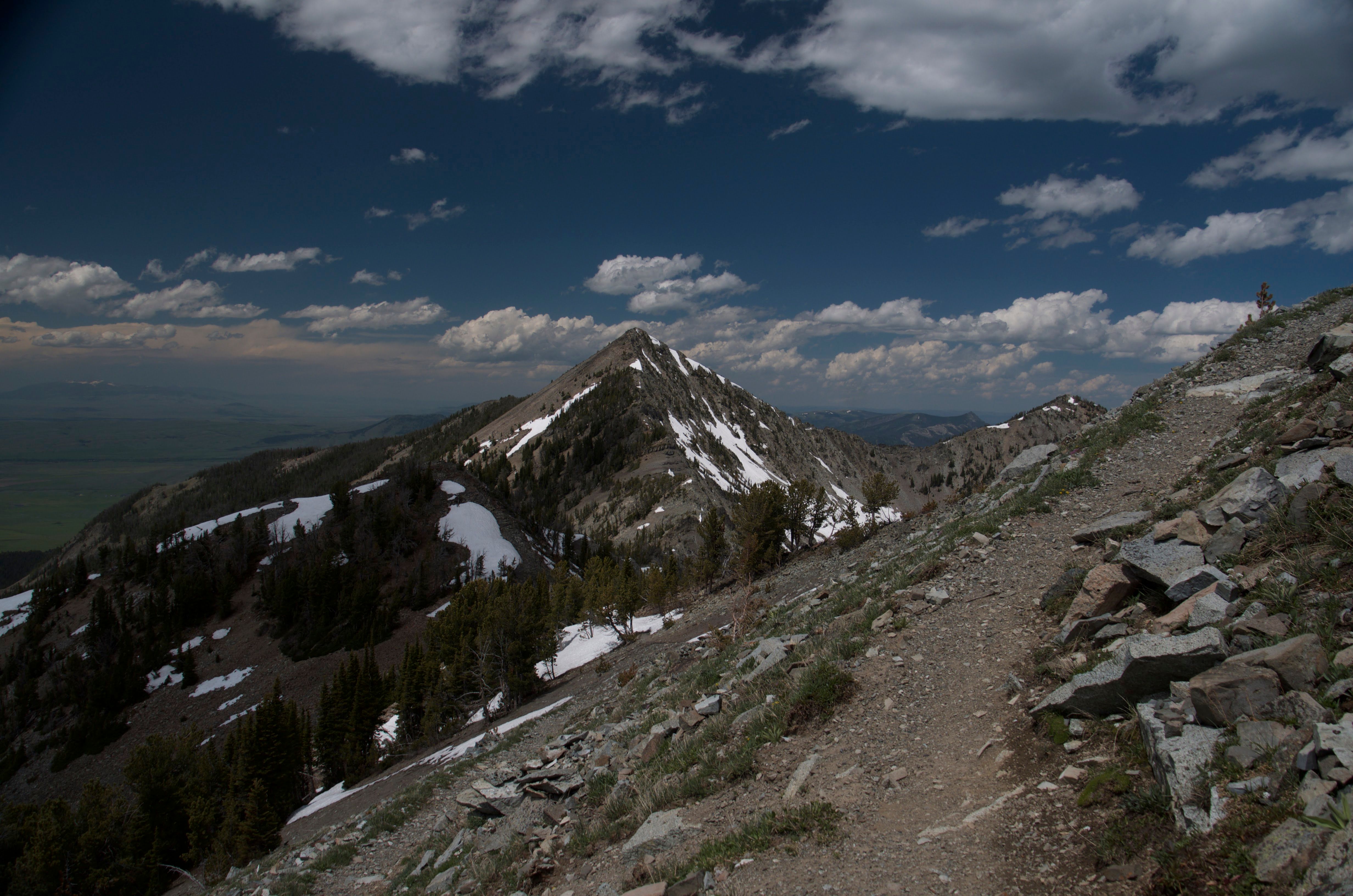 Trail sign in the Crazy Mountains
