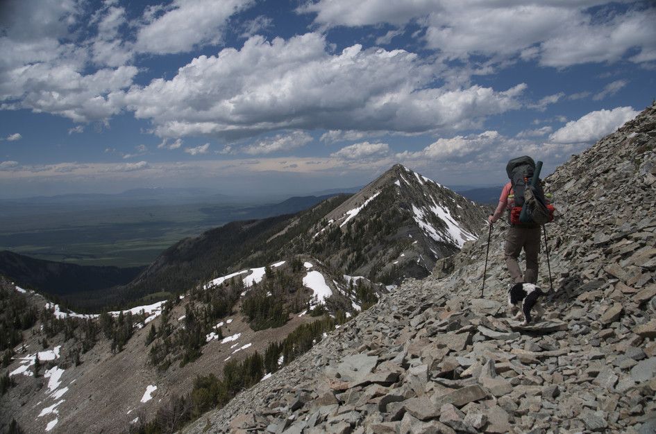 Backpacker with dog descending rocky ridge toward snow-covered peak