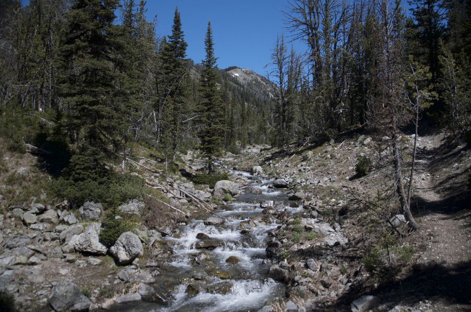 Rocky mountain creek flowing through boulder field with peak and spruce forest