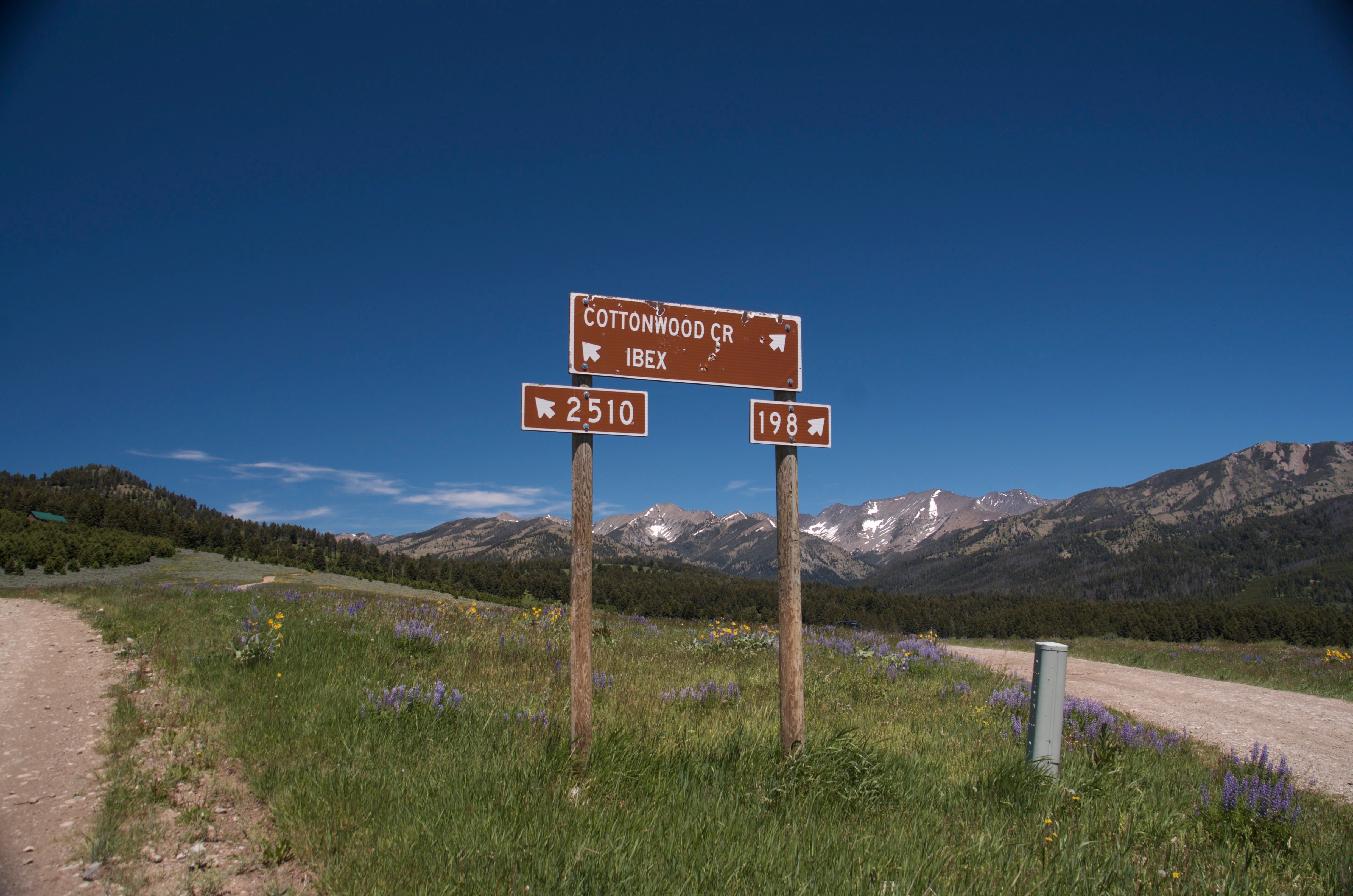Trail marker along a Crazy Mountains hiking route