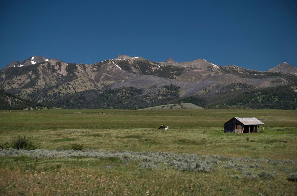 Rustic wooden barn in prairie grassland with Crazy Mountains range backdrop