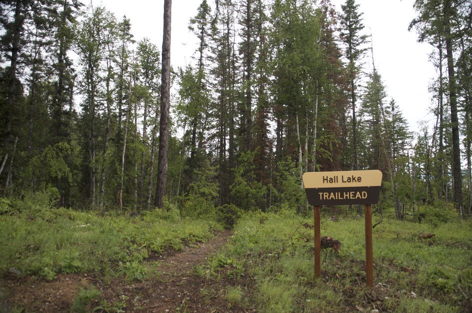 Hall Lake Trailhead sign at edge of forest clearing