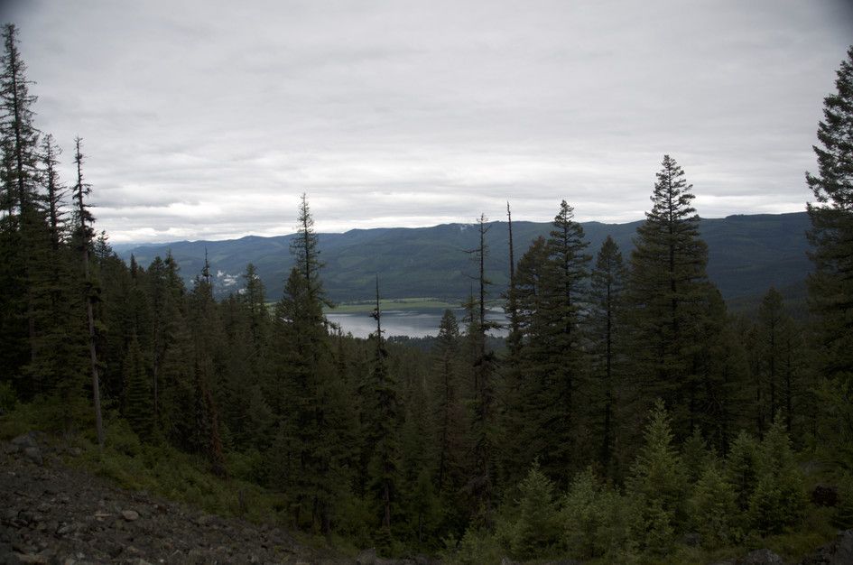 Distant view of Swan Valley lake through evergreen forest on overcast day