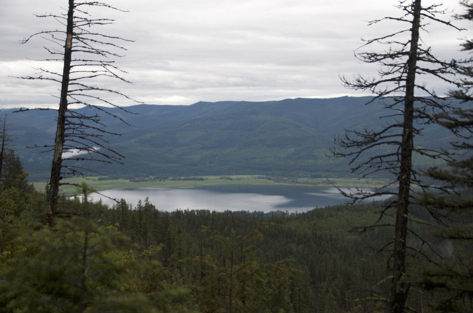 View of Swan Valley lake framed by dead tree snags and evergreen forest