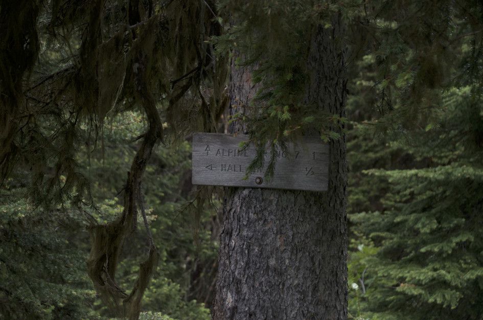 Wooden trail sign showing Alpine and Hall Lake trail directions with distances