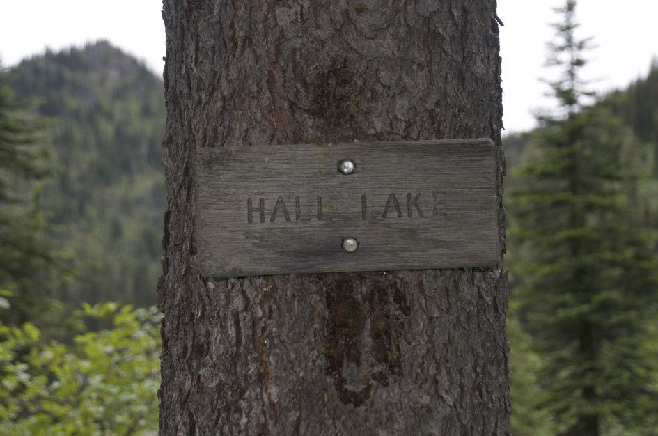 Weathered Hall Lake trail sign nailed to tree trunk