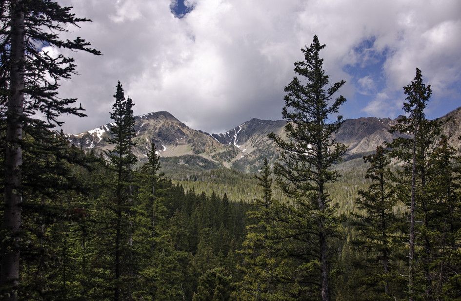 Tobacco Root peaks with snow patches framed by spruce trees