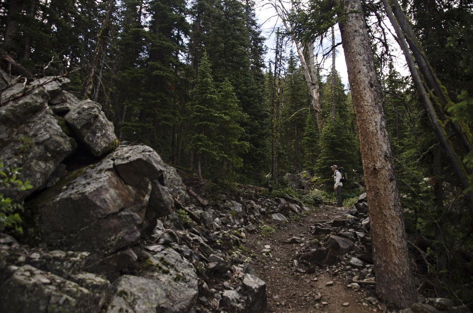 Hiker on rocky trail through evergreen forest with large boulders