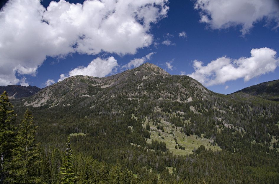 Forested mountainside with rocky summit and dramatic clouds