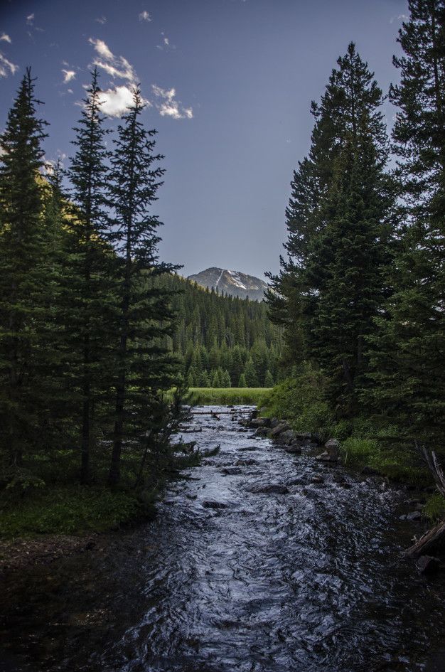 Creek flowing through meadow toward snow-capped peak at dusk