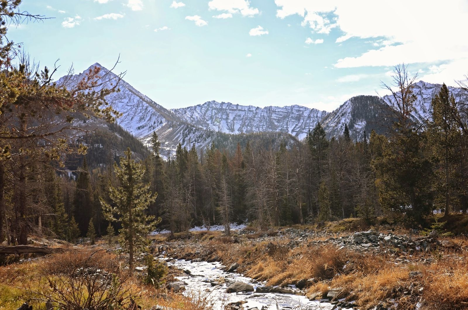 Cottonwood Creek winding through lower valley with snow-dusted peaks