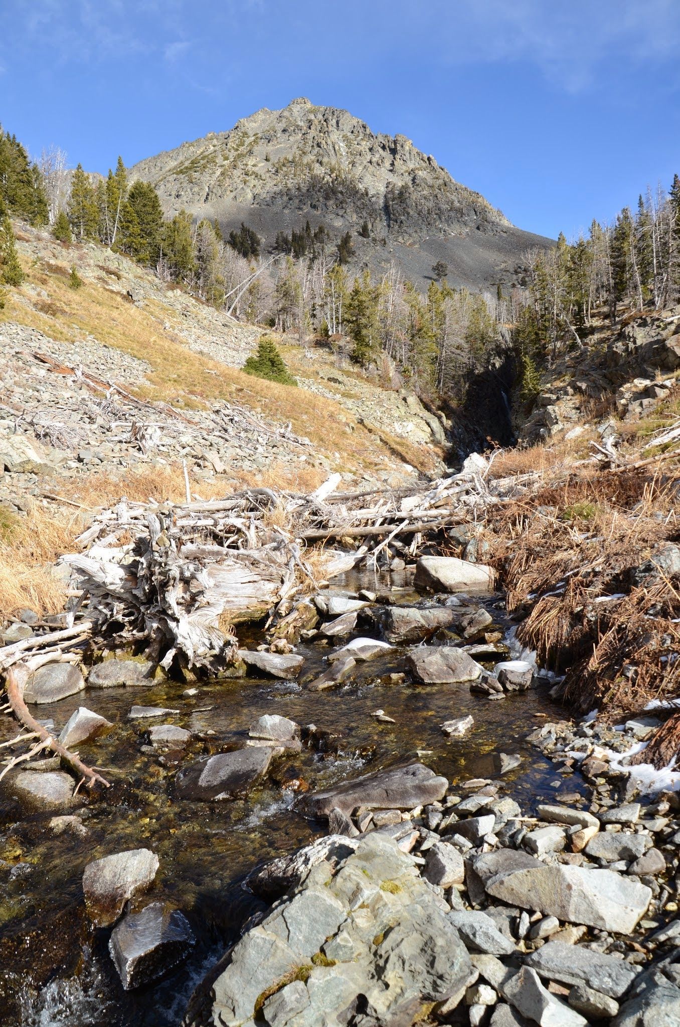 Rocky creek crossing with driftwood and granite peak in background