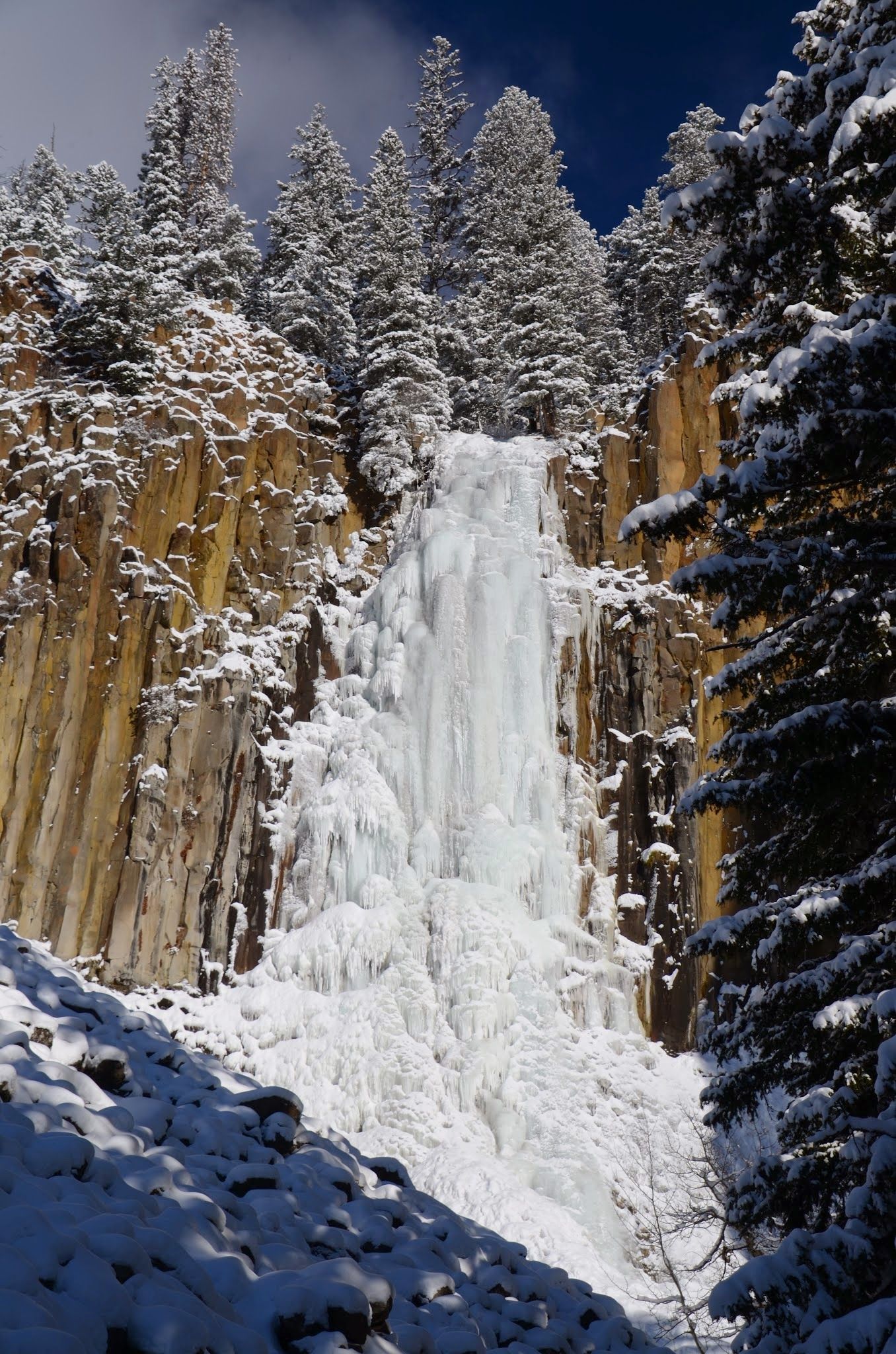 Frozen Palisade Falls flanked by tall basalt columns and snow-covered evergreens